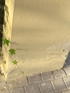 nova damp 2