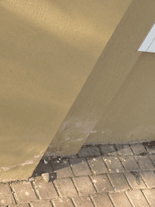 nova damp 3