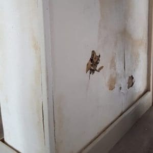 picture3_before damp treated