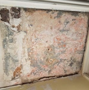 picture4_before damp treated